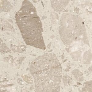 REG 7427 Fossile